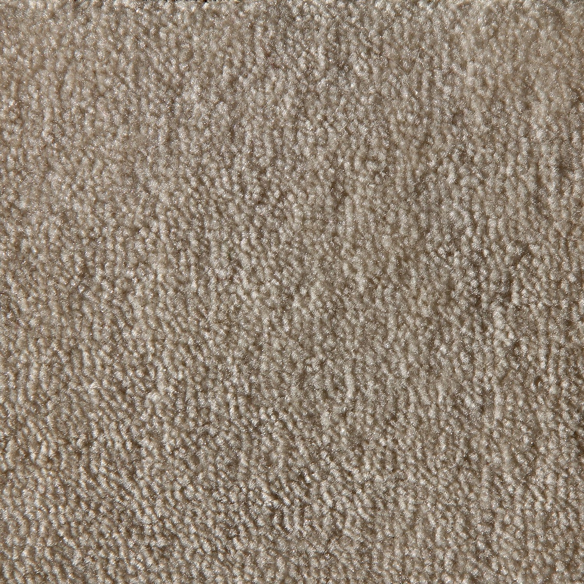 Tufting Duvardan Duvara Halı - Dinar Beyaz 15mm