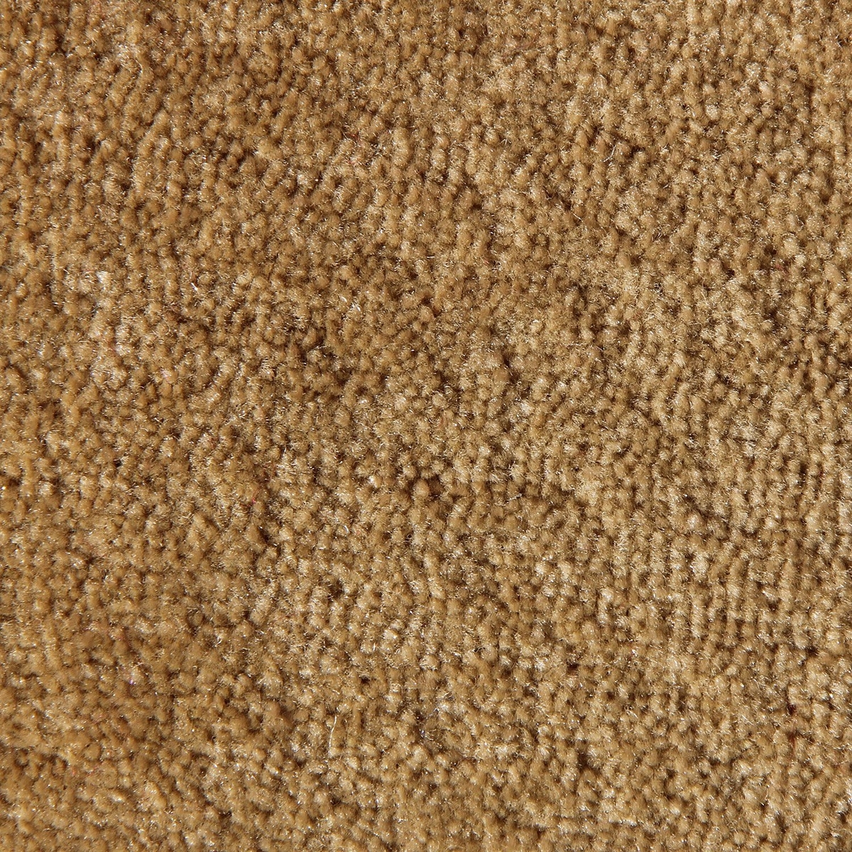 Tufting Duvardan Duvara Halı - Dinar Sarı15mm