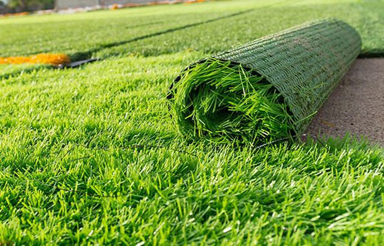 Cim Halı Cim Telcit